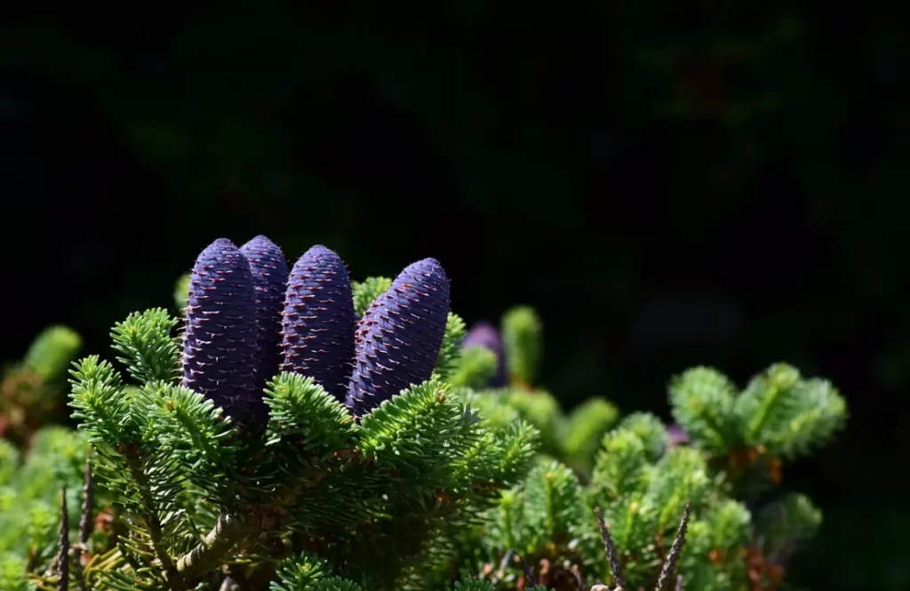 business growth image