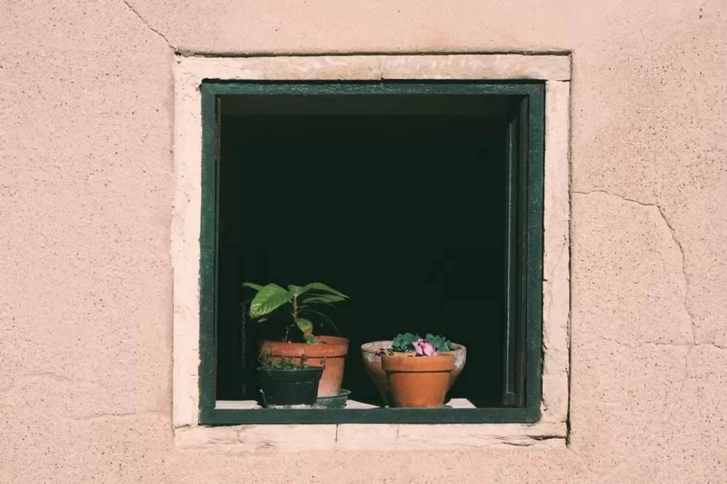 Instagram Insights screenshot