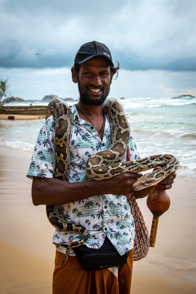 Palm-lined Bentota and Hikkaduwa beaches with surfers and swimmers