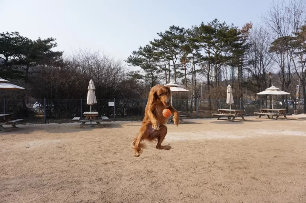 simple microservices architecture diagram