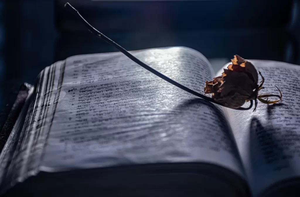 new fantasy book release